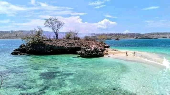 Jaya Homestay Tetebatu Exteriér fotografie