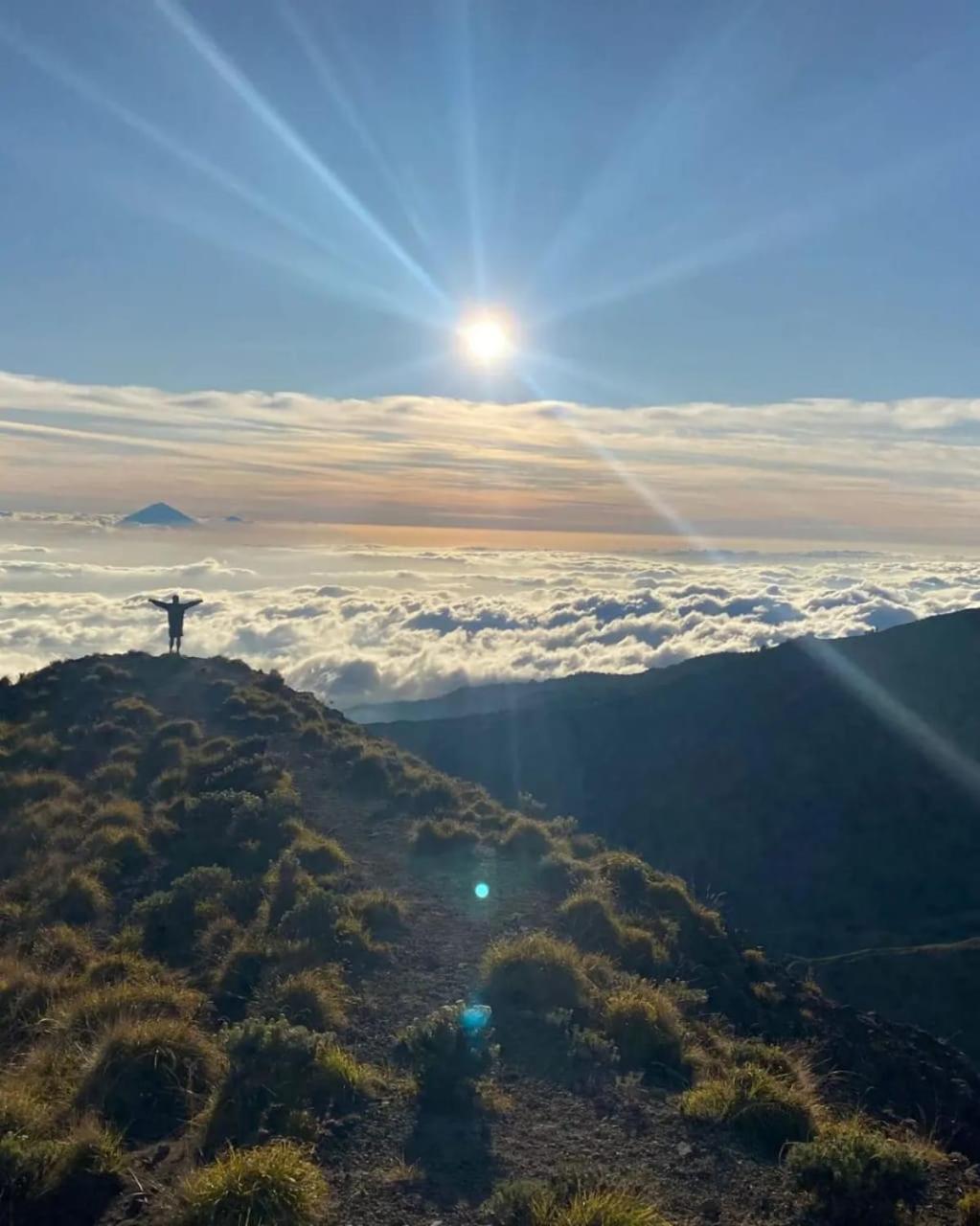 Jaya Homestay Tetebatu Exteriér fotografie