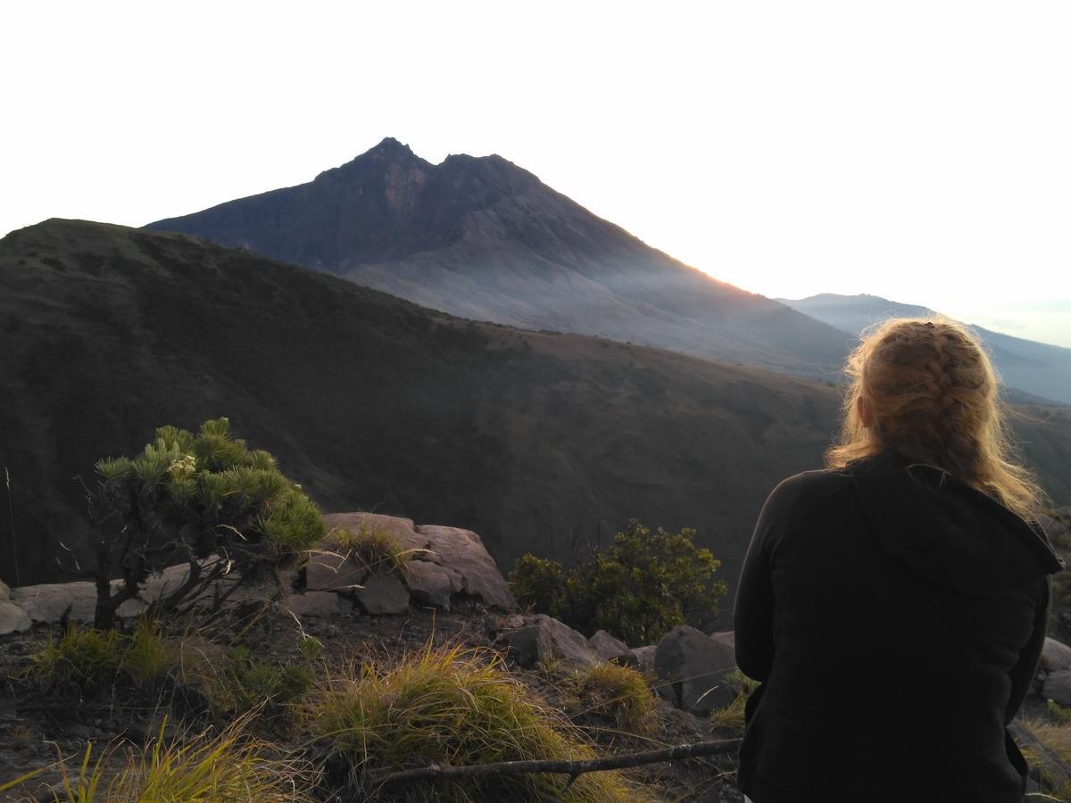 Jaya Homestay Tetebatu Exteriér fotografie