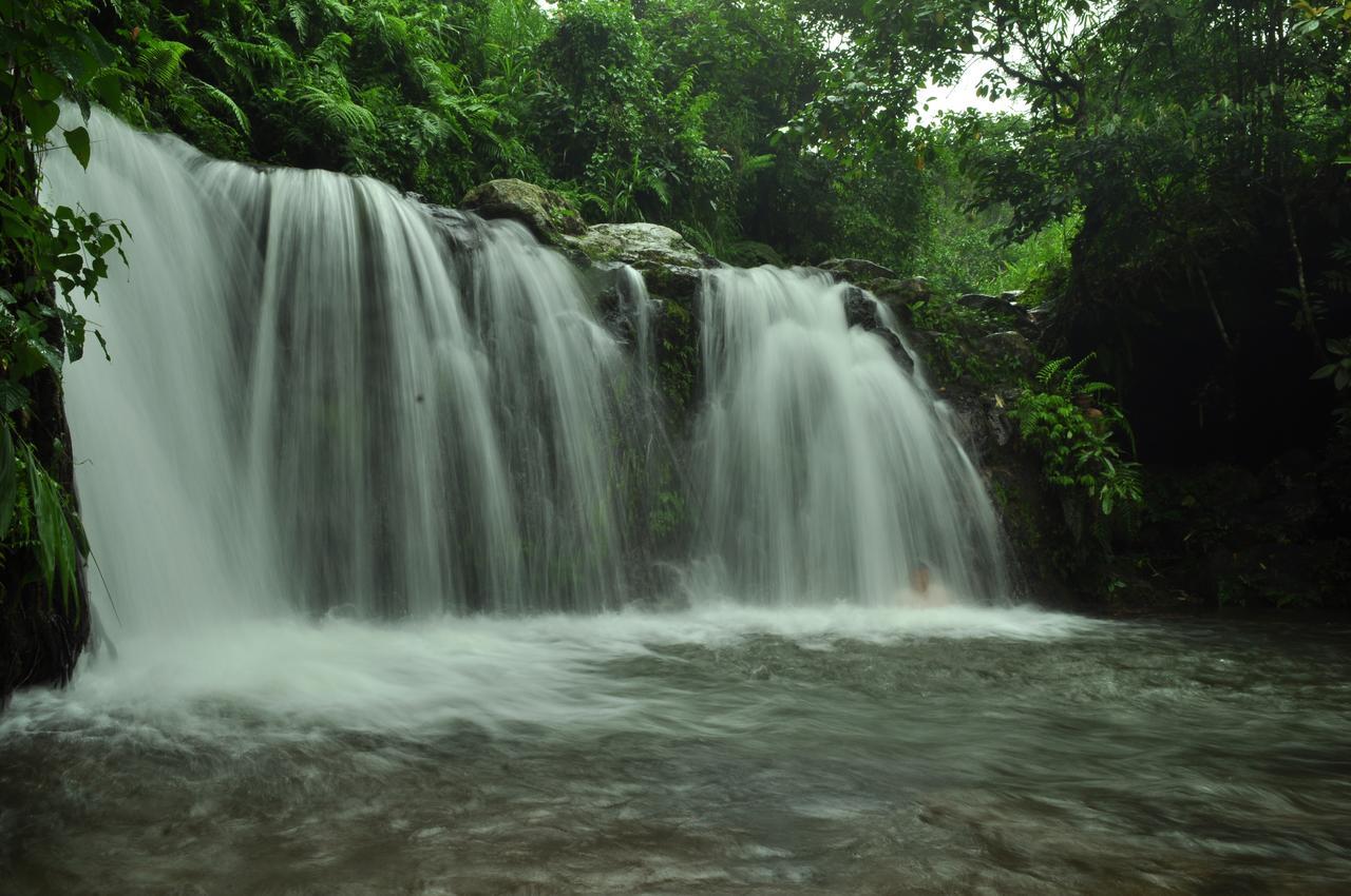 Jaya Homestay Tetebatu Exteriér fotografie