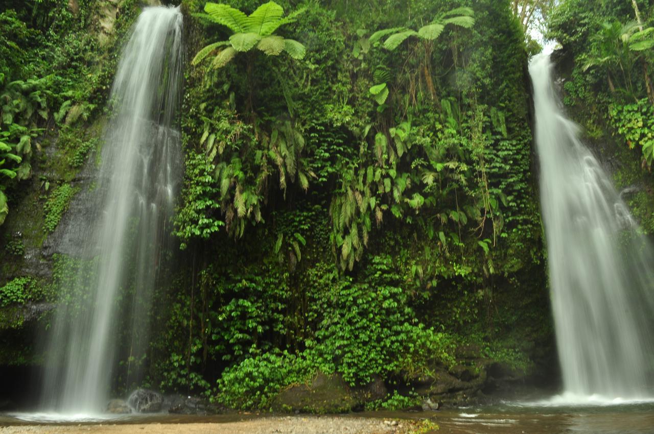 Jaya Homestay Tetebatu Exteriér fotografie