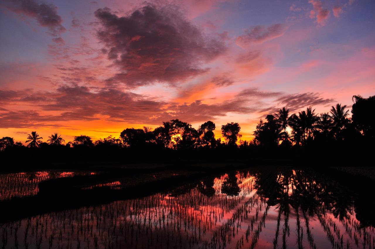Jaya Homestay Tetebatu Exteriér fotografie