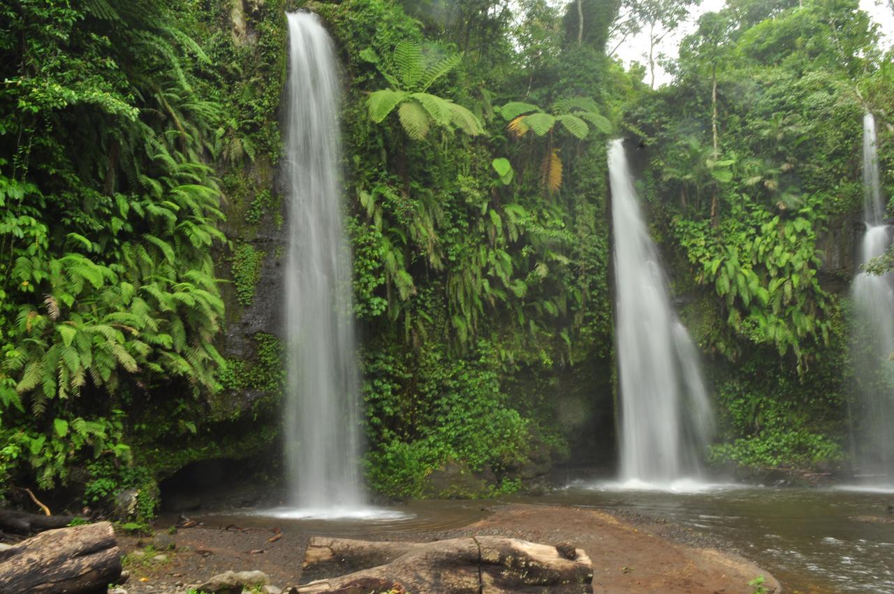Jaya Homestay Tetebatu Exteriér fotografie