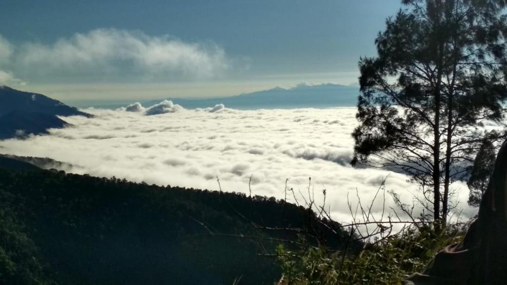 Jaya Homestay Tetebatu Exteriér fotografie